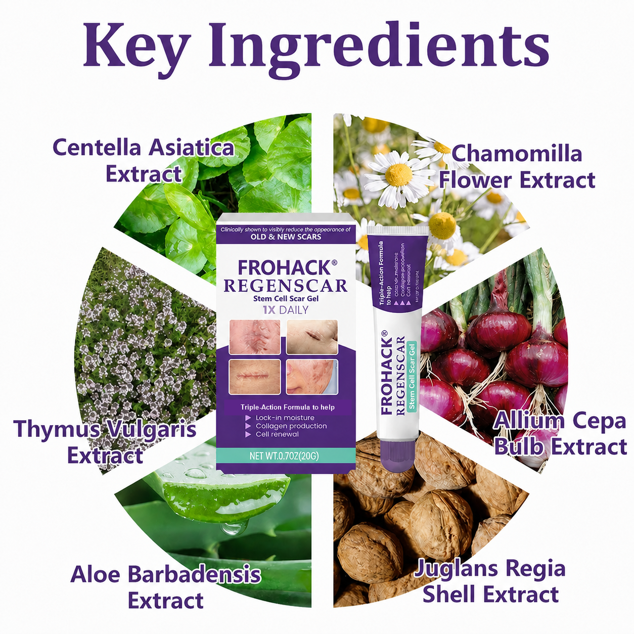FROHACK key ingredients infographic